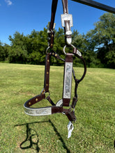 New Kathy’s Horse Size Show Halter
