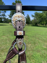 Used Harris Yearling Size Show Halter