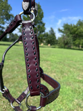New Kathy’s Horse Size Ranch Halter