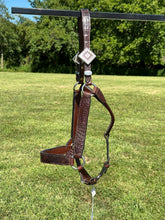New Kathy’s Horse Size Caiman Show Halter