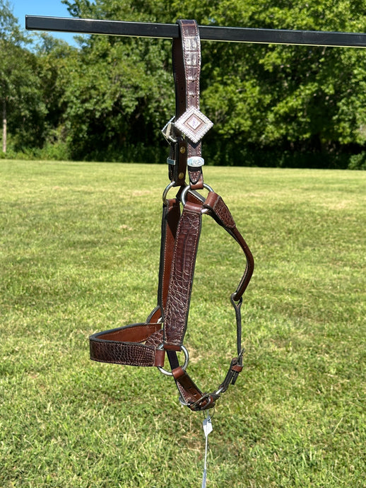 New Kathy’s Horse Size Caiman Show Halter
