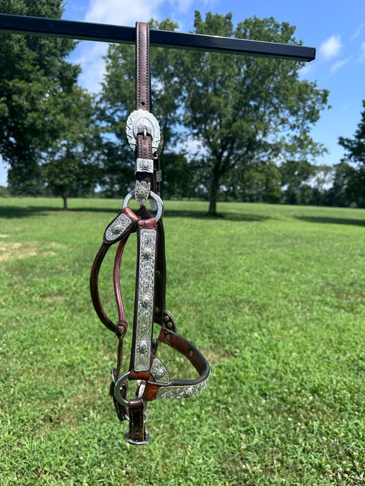 Silver Mesa Horse Size Show Halter