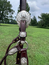 Silver Mesa Mare Size Show Halter & Lead