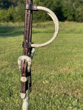 Used Billy Royal Show Headstall