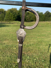 Used Blue Ribbon Show Headstall
